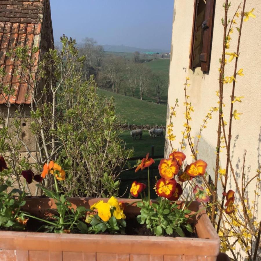 Gite Le Mur Magnifique Longere Au Bourgogne-Du-Sud Villa Oye Bagian luar foto